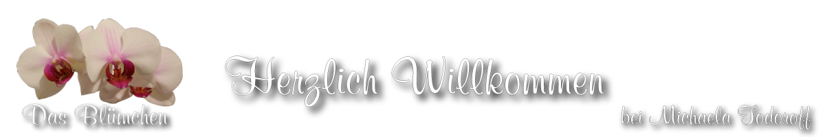 Das Blümchen - Blumen und Mehr in Salzburg