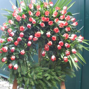 Das Blümchen - Blumen und Mehr: Blumen, Topfpflanzen, Geschenkartikel, Duftkerzen, Raumdüfte, dekorierte Blumenstöcke: Trauer-Floristik großer Kranz mit Rosen