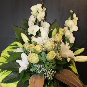 Das Blümchen - Blumen und Mehr: Blumen, Topfpflanzen, Geschenkartikel, Duftkerzen, Raumdüfte, dekorierte Blumenstöcke: weißer Strauß mit Rosen und Orchideen