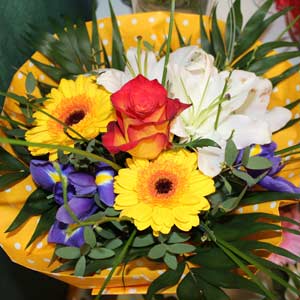 Das Blümchen - Blumen und Mehr: Blumen, Topfpflanzen, Geschenkartikel, Duftkerzen, Raumdüfte, dekorierte Blumenstöcke: Schnittblumen bunter Blumenstrauß