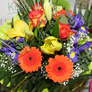 Das Blümchen - Blumen und Mehr: Blumen, Topfpflanzen, Geschenkartikel, Duftkerzen, Raumdüfte, dekorierte Blumenstöcke: Schnittblumen bunter Strauß