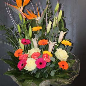 Das Blümchen - Blumen und Mehr: Blumen, Topfpflanzen, Geschenkartikel, Duftkerzen, Raumdüfte, dekorierte Blumenstöcke: großer bunter Strauß mit Lilien