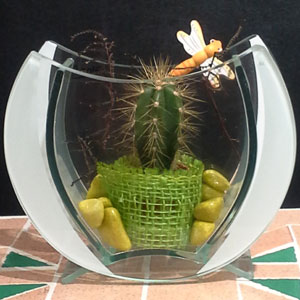 Das Blümchen - Blumen und Mehr: Blumen, Topfpflanzen, Geschenkartikel, Duftkerzen, Raumdüfte, dekorierte Blumenstöcke: Geschenke und Mitbringsel kleiner dekorierter Kaktus in Glasvase