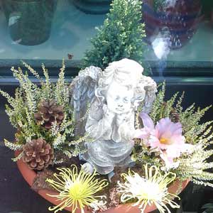 Das Blümchen - Blumen und Mehr: Blumen, Topfpflanzen, Geschenkartikel, Duftkerzen, Raumdüfte, dekorierte Blumenstöcke: Floristik zu Allerheiligen Blumen-Schale mit Engel