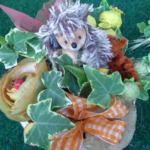 Das Blümchen - Blumen und Mehr: Blumen, Topfpflanzen, Geschenkartikel, Duftkerzen, Raumdüfte, dekorierte Blumenstöcke: herbstliche Dekoration Schale mit Igel