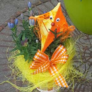 Das Blümchen - Blumen und Mehr: Blumen, Topfpflanzen, Geschenkartikel, Duftkerzen, Raumdüfte, dekorierte Blumenstöcke: herbstlich dekorierter Blumenstock