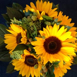 Das Blümchen - Blumen und Mehr: Blumen, Topfpflanzen, Geschenkartikel, Duftkerzen, Raumdüfte, dekorierte Blumenstöcke: Schnittblumen gelber Strauß mit Sonnenblumen