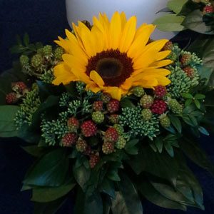 Das Blümchen - Blumen und Mehr: Blumen, Topfpflanzen, Geschenkartikel, Duftkerzen, Raumdüfte, dekorierte Blumenstöcke: Tisch-Schmuck