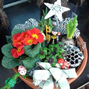 Das Blümchen - Blumen und Mehr: Blumen, Topfpflanzen, Geschenkartikel, Duftkerzen, Raumdüfte, dekorierte Blumenstöcke: saisonale Floristik Silvester dekorative Schale mit Klee 