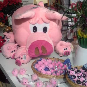 Das Blümchen - Blumen und Mehr: Blumen, Topfpflanzen, Geschenkartikel, Duftkerzen, Raumdüfte, dekorierte Blumenstöcke: Sivester Glücksbringer Schweine aus Plüsch