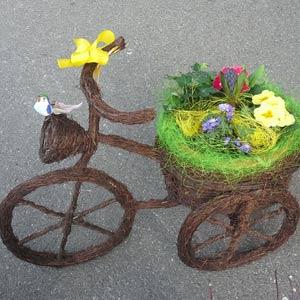 Das Blümchen - Blumen und Mehr: Blumen, Topfpflanzen, Geschenkartikel, Duftkerzen, Raumdüfte, dekorierte Blumenstöcke: Fahrrad Dekoration mit Blumenstock
