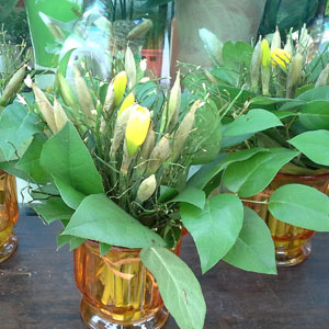 Das Blümchen - Blumen und Mehr: Blumen, Topfpflanzen, Geschenkartikel, Duftkerzen, Raumdüfte, dekorierte Blumenstöcke: saisonale Topf-Pflanze