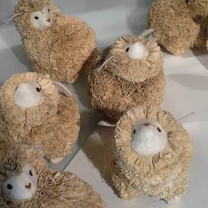 Das Blümchen - Blumen und Mehr: Blumen, Topfpflanzen, Geschenkartikel, Duftkerzen, Raumdüfte, dekorierte Blumenstöcke: Oster-Dekoration Lämmchen