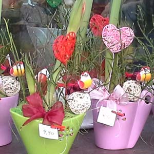 Das Blümchen - Blumen und Mehr: Blumen, Topfpflanzen, Geschenkartikel, Duftkerzen, Raumdüfte, dekorierte Blumenstöcke: Geschenk-Ideen zu Muttertag, dekorierte Blumenstöcke