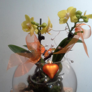 Das Blümchen - Blumen und Mehr: Blumen, Topfpflanzen, Geschenkartikel, Duftkerzen, Raumdüfte, dekorierte Blumenstöcke: saisonale Floristik Muttertag dekorierte gelbe Orchidee