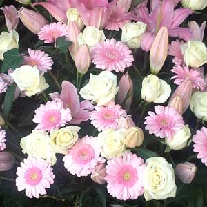 Das Blümchen - Blumen und Mehr: Blumen, Topfpflanzen, Geschenkartikel, Duftkerzen, Raumdüfte, dekorierte Blumenstöcke: großer rosafarbener Strauß