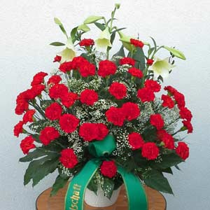 Das Blümchen - Blumen und Mehr: Blumen, Topfpflanzen, Geschenkartikel, Duftkerzen, Raumdüfte, dekorierte Blumenstöcke: Trauer-Binderei großer roter Strauß