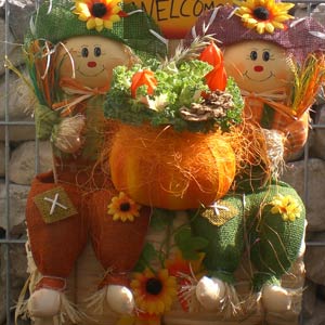 Das Blümchen - Blumen und Mehr: Blumen, Topfpflanzen, Geschenkartikel, Duftkerzen, Raumdüfte, dekorierte Blumenstöcke: herbstliche Dekoration Männchen mit Kürbis