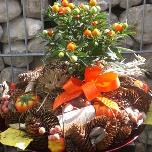 Das Blümchen - Blumen und Mehr: Blumen, Topfpflanzen, Geschenkartikel, Duftkerzen, Raumdüfte, dekorierte Blumenstöcke: herbstliche Floristik Schale mit Igel und Bäumchen