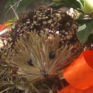 Das Blümchen - Blumen und Mehr: Blumen, Topfpflanzen, Geschenkartikel, Duftkerzen, Raumdüfte, dekorierte Blumenstöcke: herbstliche Geschenk-Ideen Igel-Figur