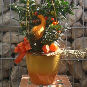 Das Blümchen - Blumen und Mehr: Blumen, Topfpflanzen, Geschenkartikel, Duftkerzen, Raumdüfte, dekorierte Blumenstöcke: herbstliches Gesteck mit Kürbis