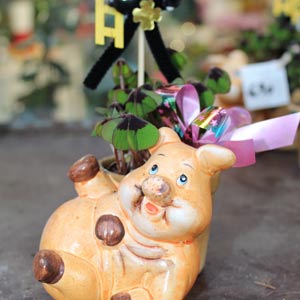 Das Blümchen - Blumen und Mehr: Blumen, Topfpflanzen, Geschenkartikel, Duftkerzen, Raumdüfte, dekorierte Blumenstöcke: florale Glücksbringer zu Silvester Schweinchen mit Klee