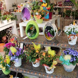Das Blümchen - Blumen und Mehr: Blumen, Topfpflanzen, Geschenkartikel, Duftkerzen, Raumdüfte, dekorierte Blumenstöcke: Frühling Ostern bunte Geschenkideen