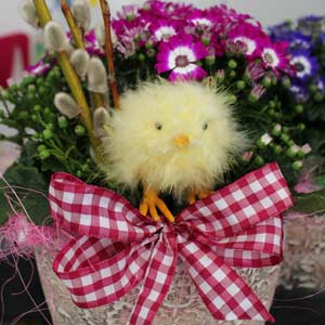 Das Blümchen - Blumen und Mehr: Blumen, Topfpflanzen, Geschenkartikel, Duftkerzen, Raumdüfte, dekorierte Blumenstöcke: saisonale Floristik dekorierter Oster-Blumentopf mit Küken