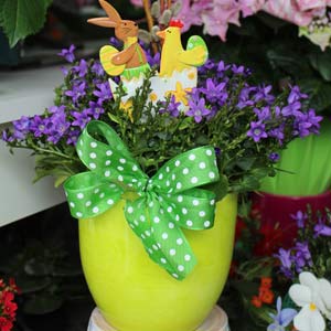 Das Blümchen - Blumen und Mehr: Blumen, Topfpflanzen, Geschenkartikel, Duftkerzen, Raumdüfte, dekorierte Blumenstöcke: Oster-Geschenke dekorierte Blumen mit Hasen-Stecker