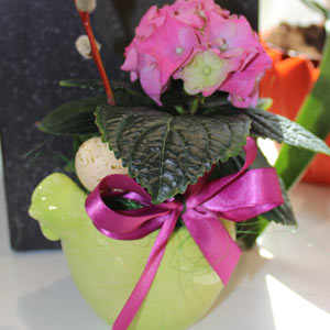 Das Blümchen - Blumen und Mehr: Blumen, Topfpflanzen, Geschenkartikel, Duftkerzen, Raumdüfte, dekorierte Blumenstöcke: Frühling und Ostern Blume in Hühnertopf