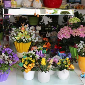 Das Blümchen - Blumen und Mehr: Blumen, Topfpflanzen, Geschenkartikel, Duftkerzen, Raumdüfte, dekorierte Blumenstöcke: Oster-Floristik dekorierte Blumenstöcke und Geschenkideen