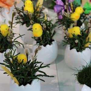 Das Blümchen - Blumen und Mehr: Blumen, Topfpflanzen, Geschenkartikel, Duftkerzen, Raumdüfte, dekorierte Blumenstöcke: Oster-Geschenke dekorierte Pflanze in Ei
