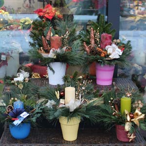 Das Blümchen - Blumen und Mehr: Blumen, Topfpflanzen, Geschenkartikel, Duftkerzen, Raumdüfte, dekorierte Blumenstöcke: Weihnachts-Floristik Gestecke mit Kerzen